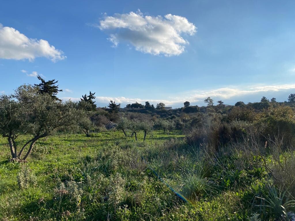 Οικόπεδο 6.500 τ.μ. προς πώληση, Άγιος Παύλος Βάμου