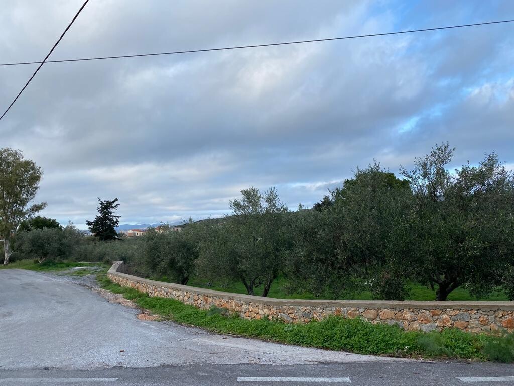 Οικόπεδο 4.017 τ.μ. προς πώληση, Ξηροστέρνι