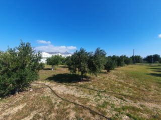 Επαγγελματικό 335 τ.μ. πρός πώληση, Ν. Λασιθίου, Ιεράπετρα-thumb-8