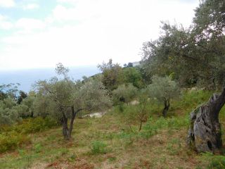 Οικόπεδο 4.020 τ.μ. για πώληση
