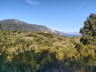 Οικόπεδο 8.250 τ.μ. για πώληση