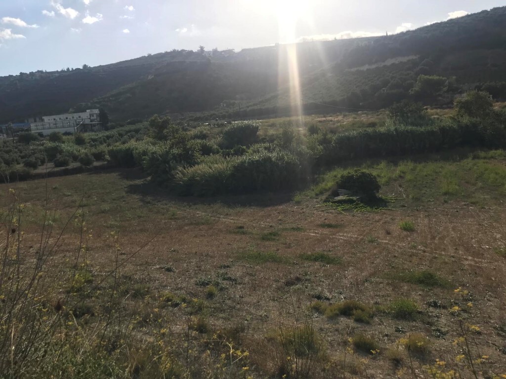 Οικόπεδο 7.800 τ.μ. προς πώληση, Δαφνές Ηρακλείου