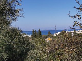 Οικόπεδο 6.500 τ.μ. για πώληση