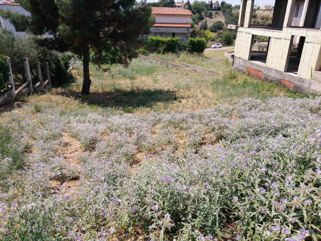 Οικόπεδο 750 τ.μ. προς πώληση, Θεσσαλονίκη - Περιφ/Κοί Δήμοι, Πυλαία