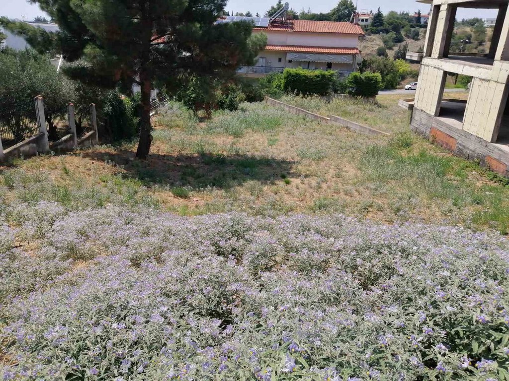 Οικόπεδο 750 τ.μ. προς πώληση, Θεσσαλονίκη - Περιφ/Κοί Δήμοι, Πυλαία