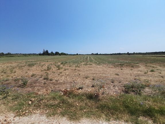 Land plot 11.100 sqm for sale, Thessaloniki - Suburbs, Michaniona