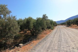 Οικόπεδο 5.000 τ.μ. για πώληση