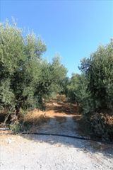 Οικόπεδο 5.000 τ.μ. για πώληση, Ν. Λασιθίου, Νεάπολη-thumb-2