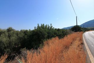 Οικόπεδο 2.000 τ.μ. για πώληση