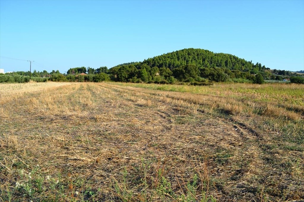 Οικόπεδο 8.250 τ.μ. προς πώληση, Σωλήνα