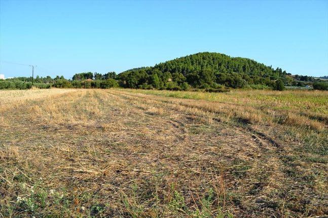 Land plot 8.250 sqm for sale, Chalkidiki, Kassandra