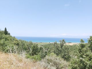 Οικόπεδο 7.200 τ.μ. για πώληση