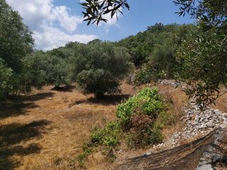 Οικόπεδο 4.400 τ.μ. για πώληση