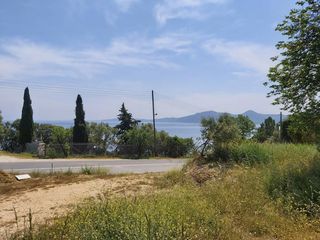 Οικόπεδο 6.000 τ.μ. για πώληση