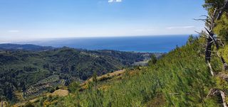 Οικόπεδο 12.000 τ.μ. προς πώληση