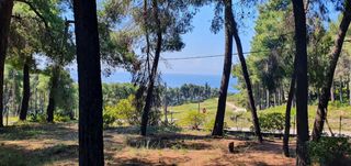 Βίλλα 440 τ.μ. προς πώληση, Σταυρός Κασσάνδρας-thumb-1