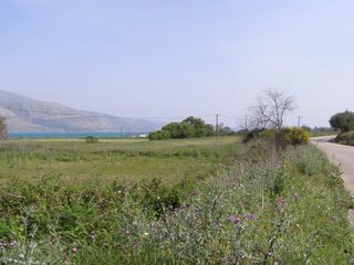 Οικόπεδο 14.000 τ.μ. για πώληση