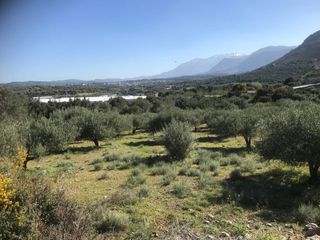 Οικόπεδο 12.400 τ.μ. για πώληση