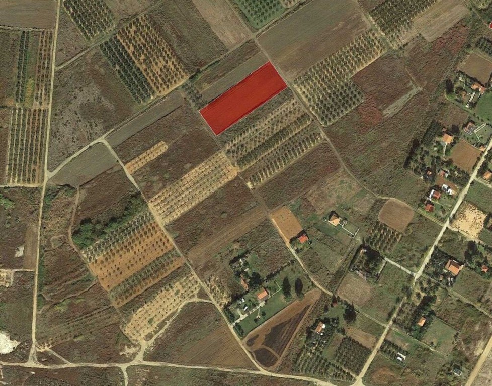 Οικόπεδο 4.550 τ.μ. προς πώληση, Άγιος Μάμας Μουδανιών
