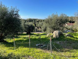 Οικόπεδο 4.500 τ.μ. για πώληση