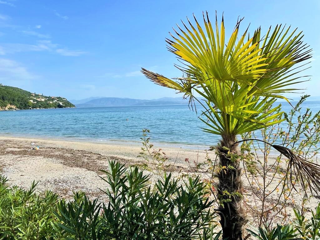 Μονοκατοικία 130 τ.μ. προς πώληση, Φαίακες