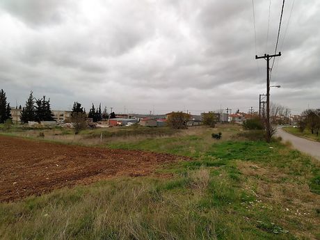 Οικόπεδο 5.000 τ.μ. για πώληση