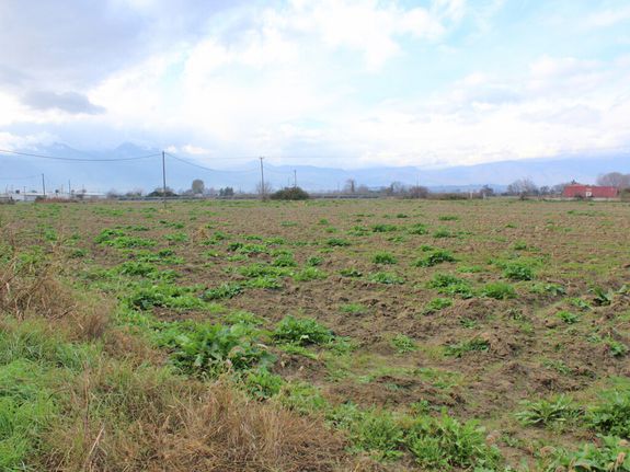 Land plot 48.714 sqm for sale, Pieria Prefecture, Katerini