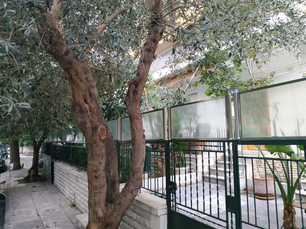 Κτίριο 492 τ.μ. προς πώληση, Άγιος Ελευθέριος Αθήνας