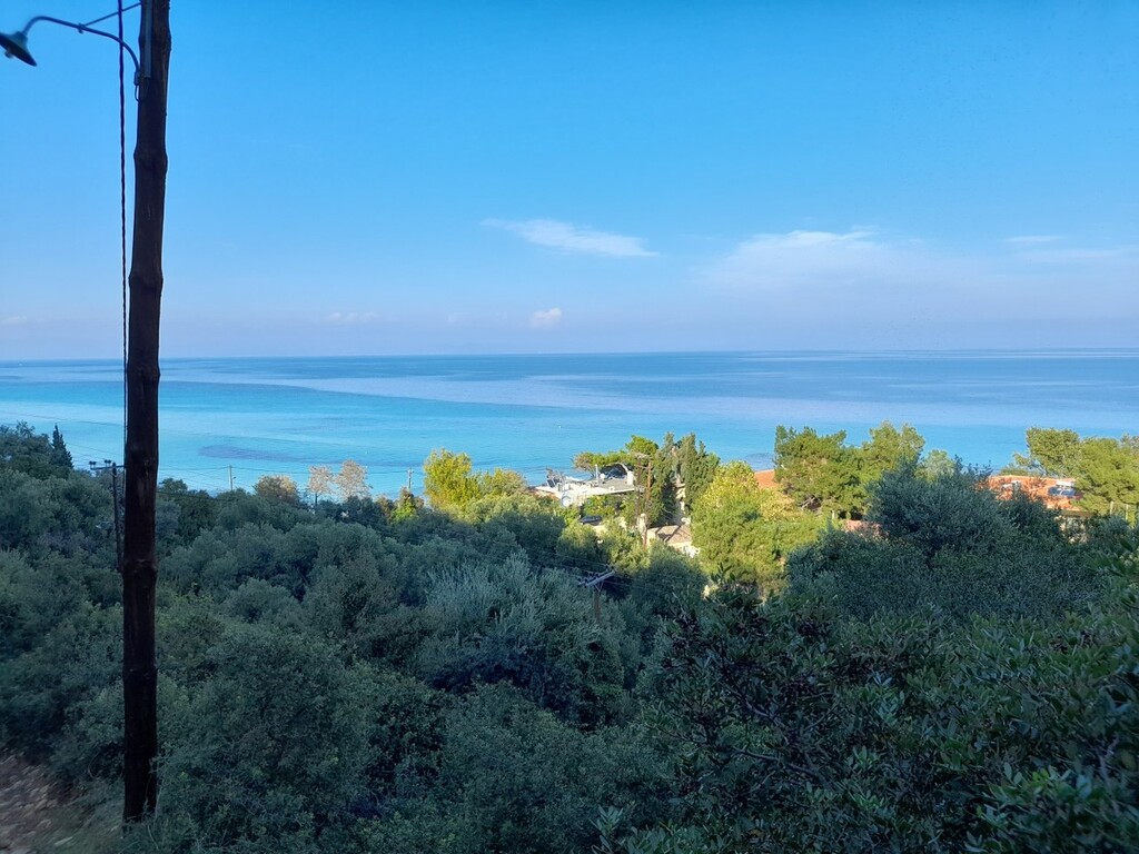 Οικόπεδο 2.704 τ.μ. προς πώληση, Άφυτος