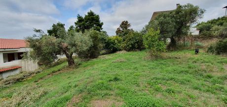 Οικόπεδο 1.424τ.μ. για πώληση-Παλλήνη » Λουτρά