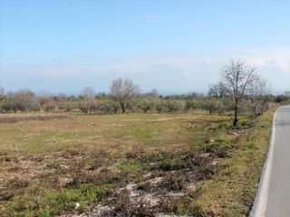 Οικόπεδο 4.151 τ.μ. προς πώληση, Πλάκα Λιτοχώρου-thumb-2