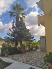 Ξενοδοχείο 0 τ.μ. προς πώληση, Παρέλι-thumb-3