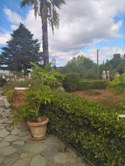 Ξενοδοχείο 0 τ.μ. προς πώληση, Παρέλι-thumb-33