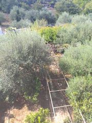 Ξενοδοχείο 0 τ.μ. προς πώληση, Παρέλι-thumb-58