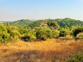 Οικόπεδο 21.000 τ.μ. για πώληση
