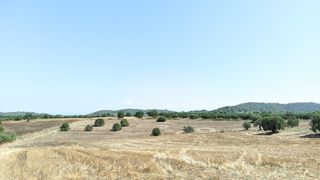 Οικόπεδο 6.000 τ.μ. προς πώληση