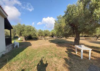 Άλλο 200 τ.μ. για πώληση, Χαλκιδική, Σιθωνία-thumb-23