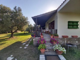 Άλλο 200 τ.μ. για πώληση, Χαλκιδική, Σιθωνία-thumb-2