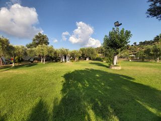 Άλλο 200 τ.μ. για πώληση, Χαλκιδική, Σιθωνία-thumb-29