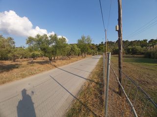 Άλλο 200 τ.μ. για πώληση, Χαλκιδική, Σιθωνία-thumb-33