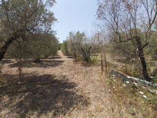 Μονοκατοικία 100 τ.μ. προς πώληση, Βατοπέδι-thumb-28