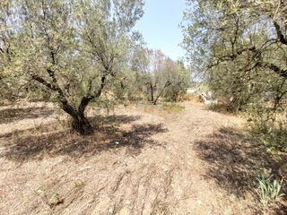 Μονοκατοικία 100 τ.μ. προς πώληση, Βατοπέδι-thumb-29