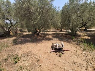 Μονοκατοικία 100 τ.μ. προς πώληση, Βατοπέδι-thumb-27