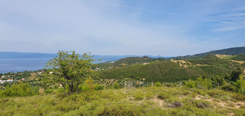 Οικόπεδο 9.603 τ.μ. προς πώληση, Πευκοχώρι