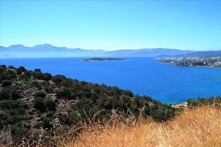Οικόπεδο 4.500 τ.μ. για πώληση