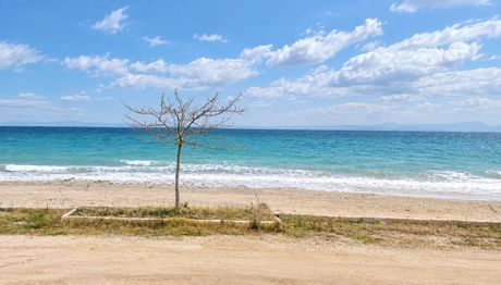 Οικόπεδο 2.200 τ.μ. προς πώληση