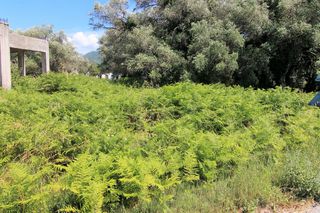 Οικόπεδο 2.000 τ.μ. για πώληση, Ν. Κέρκυρας, Κέρκυρα-thumb-1