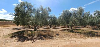 Οικόπεδο 18.000 τ.μ. προς πώληση