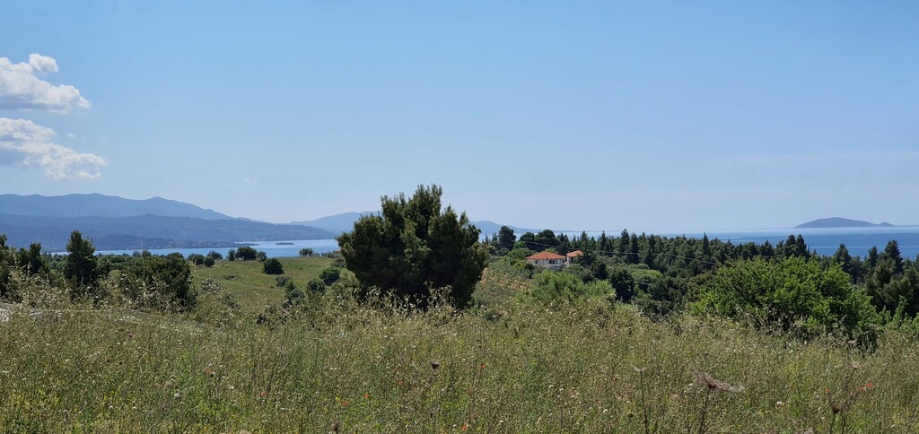 Οικόπεδο 4.000 τ.μ. προς πώληση, Μεταμόρφωση Ορμύλιας