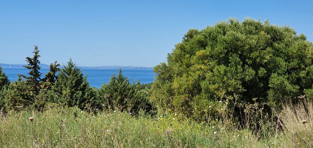 Οικόπεδο 4.000 τ.μ. προς πώληση, Μεταμόρφωση Ορμύλιας